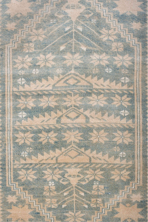 Antique Anatol Area Rug (3' x 5')